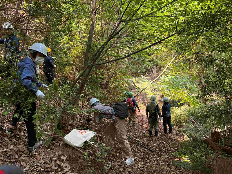 広島県緑化センター森の整備活動